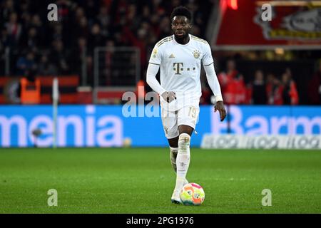 Leverkusen, Deutschland. 19. März 2023. Fußball: Bundesliga, Bayer Leverkusen - Bayern München, Spieltag 25, BayArena. Bayerns Alphonso Davies spielt den Ball. Kredit: Federico Gambarini/dpa - WICHTIGER HINWEIS: Gemäß den Anforderungen der DFL Deutsche Fußball Liga und des DFB Deutscher Fußball-Bund ist es verboten, im Stadion aufgenommene Fotos und/oder das Spiel in Form von Sequenzbildern und/oder videoähnlichen Fotoserien zu verwenden oder verwenden zu lassen./dpa/Alamy Live News Stockfoto