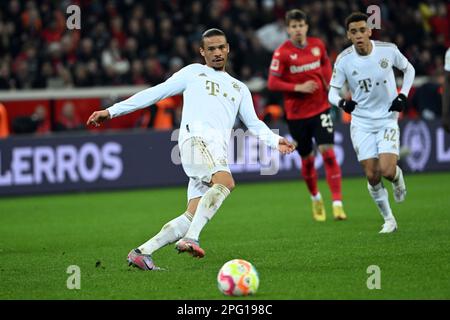 Leverkusen, Deutschland. 19. März 2023. Fußball: Bundesliga, Bayer Leverkusen - Bayern München, Spieltag 25, BayArena. Bayerns Leroy Sane spielt den Ball. Kredit: Federico Gambarini/dpa - WICHTIGER HINWEIS: Gemäß den Anforderungen der DFL Deutsche Fußball Liga und des DFB Deutscher Fußball-Bund ist es verboten, im Stadion aufgenommene Fotos und/oder das Spiel in Form von Sequenzbildern und/oder videoähnlichen Fotoserien zu verwenden oder verwenden zu lassen./dpa/Alamy Live News Stockfoto