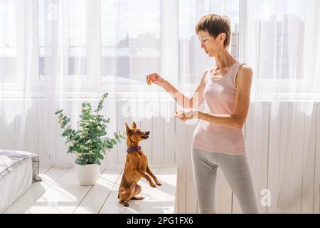 Frau, die mit dem Hund trainiert, um Yoga zu genießen und zu entspannen. Verbringen Sie Zeit und spielen Sie mit Ihrem Hund zu Hause. "Ruhe Liebe für Hund" -Konzept Stockfoto
