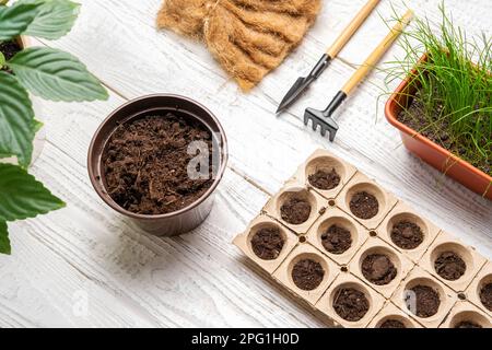 Gartendecke. Blumen Pflanzen. Keine Menschen. Arbeiten mit Erde, natürliche kleine Töpfe. Fertilität. Fürsorgliche Hauspflanzen. Draufsicht. Saatgut in Germina aussäen Stockfoto