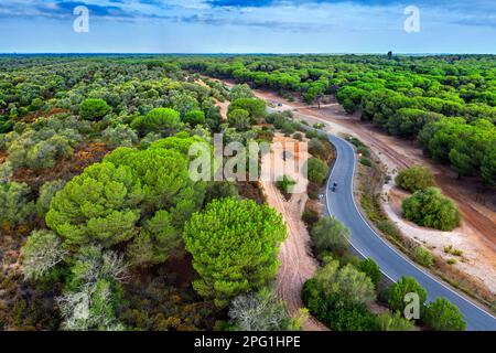 Blick aus der Vogelperspektive auf Dehesa de Abajo, La Puebla del Río, Donana-Nationalpark Sevilla Spanien. Das konzertierte Naturschutzgebiet Dehesa de Abajo ist der Kontakt Stockfoto