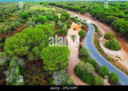 Blick aus der Vogelperspektive auf Dehesa de Abajo, La Puebla del Río, Donana-Nationalpark Sevilla Spanien. Das konzertierte Naturschutzgebiet Dehesa de Abajo ist der Kontakt Stockfoto