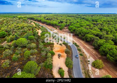 Blick aus der Vogelperspektive auf Dehesa de Abajo, La Puebla del Río, Donana-Nationalpark Sevilla Spanien. Das konzertierte Naturschutzgebiet Dehesa de Abajo ist der Kontakt Stockfoto