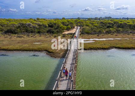 Luftaufnahme auf Marschland und Salzwerk, Naturpark Bahia de Cadiz. Costa de la Luz, Provinz Cadiz, Andalusien, Spanien. Die Holzbrücke über die Sa Stockfoto