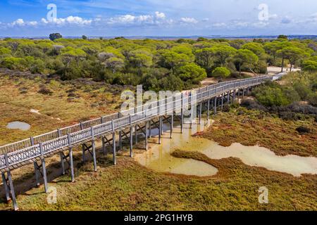 Luftaufnahme auf Marschland und Salzwerk, Naturpark Bahia de Cadiz. Costa de la Luz, Provinz Cadiz, Andalusien, Spanien. Die Holzbrücke über die Sa Stockfoto