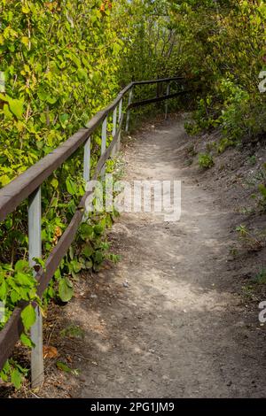 Langer Pfad mit Schottertreppen und Holzgeländer für Touristen in sonnigen Sommerwäldern. Leerer Wanderweg im Naturschutzgebiet Stockfoto