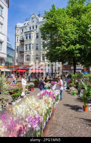 Orchideen auf einem Blumenmarkt in der historischen Stadt Bremen, Deutschland Stockfoto