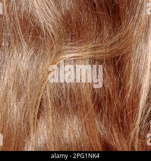 Hamburg, Deutschland. 23. Februar 2023. Das lange rötlich-blonde Haar einer jungen Frau scheint ins Licht. Kredit: Markus Scholz/dpa/Picture Alliance/dpa | Markus Scholz/dpa/Alamy Live News Stockfoto