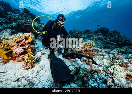 taucher sitzt auf dem Meeresboden in der Banda-See/Indonesien Stockfoto