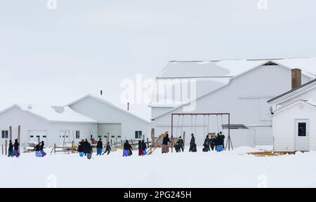 Amish-Kinder spielen draußen in Wisconsin. Stockfoto