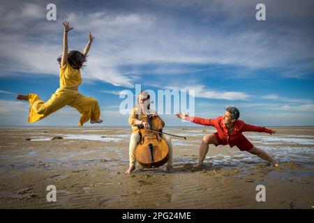 Tänzer und Cellisten treten am Strand von Cape Cod auf Stockfoto