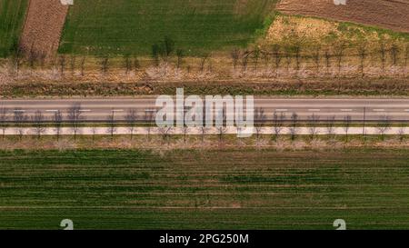 Luftaufnahme von oben auf einer geraden Straße durch die Landschaft mit Baumstreifen, die Schatten auf Asphalt werfen, Drohnen pov Stockfoto