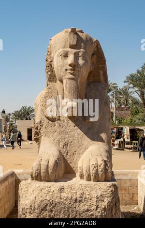 Alabaster Sphinx von Amenophis II. Im mit Rahina Museum, Memphis, nahe Sakkara, Ägypten Stockfoto