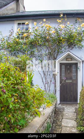 Ein altmodisches englisches Cottage mit Rosen über der Tür. Es hat ein hellblau gestrichenes Äußere, hohe gelbe Rosen, die über den Wänden hängen, und ein altes f Stockfoto