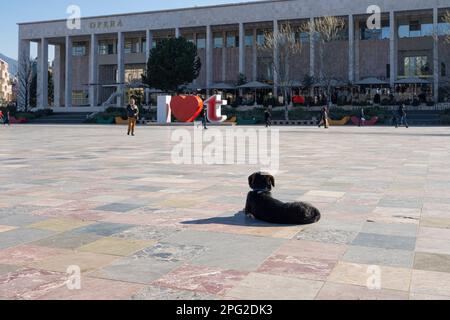 Tirana, Albanien. März 2023. Außenansicht des Nationaltheaters für Oper und Ballett in Tirana auf dem Skenderbej-Platz im Stadtzentrum Stockfoto