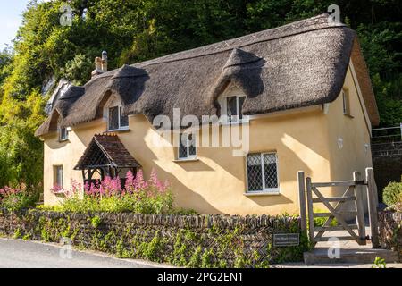 Old Maid Cottage, Lee Bay, Ilfracombe, North Devon, Großbritannien Stockfoto