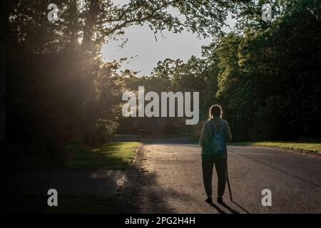 Reife Frau mit einem Wanderstock, die nach Hause in Richtung der untergehenden Sonne in North Branch, Minnesota, USA wandert. Stockfoto