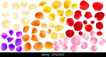 Hintergrund der Rosenblätter auf einem transparenten weißem Hintergrund. Valentinstag Hintergrund. Vector Illustration Stock Vektor