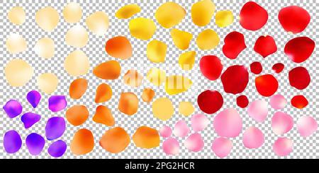 Hintergrund der Rosenblätter auf einem transparenten weißem Hintergrund. Valentinstag Hintergrund. Vector Illustration Stock Vektor