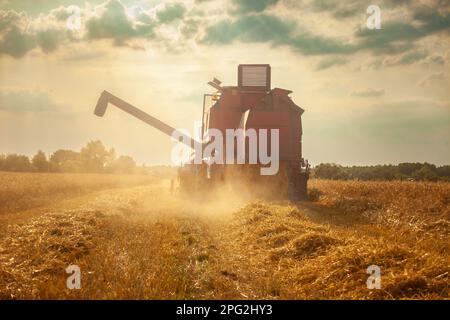 Eine große landwirtschaftliche Erntemaschine, die im Sommer auf einem Feld mit Getreide mäht Stockfoto