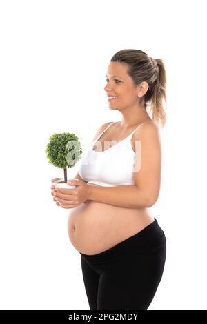 Schwangere Frau zeigt ihren Bauch mit einer Pflanze. Schonen Sie die Umwelt Stockfoto