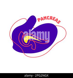 Organumriss des endokrinen und des Verdauungssystems des Pankreas Stock Vektor