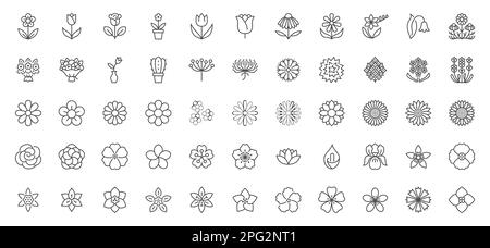 Symbole für Blumenlinien festgelegt. Blühende Pflanzen - Rosen, Tulpen, Gänseblümchen, Sonnenblumen, Lotus, Kamille, Löwenzahn, Chrysanthemen, Lilienvektordarstellung Stock Vektor