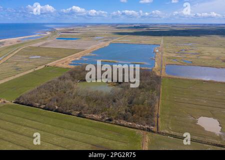 Blick auf den historischen EntenKöder (Vogelkoje) in Oldsum, Insel Foehr, Nordfriesien, Schleswig-Holstein, Deutschland. Ein Gerät zum Fangen und Töten von Enten Stockfoto