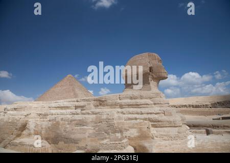 Die Sphinx in Gizeh, Ägypten. Stockfoto