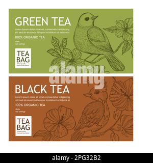 TEEPAKET MIT VOGEL und Hibiskusblume in Kastenetikett im Vintage Sketch Style oder Bannerdesign für grünen und schwarzen Tee bedruckbarer Vektor für modernen Typo Stock Vektor