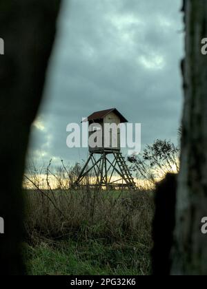 Ein erhöhter hölzerner Wachturm in einem grasbedeckten Feld Stockfoto