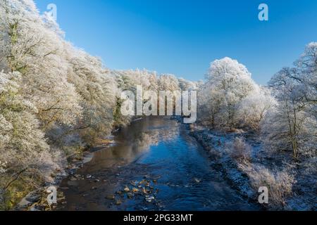 England, Northumberland, Bardon Mill. In Tynedale, in der Nähe des Flusses South Tyne, schwirrt der Frost über Wäldern. Stockfoto