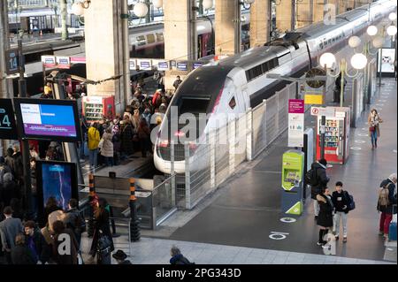TGV-Zug in der Halle am Bahnhof Gare du Nord in Paris Stockfoto