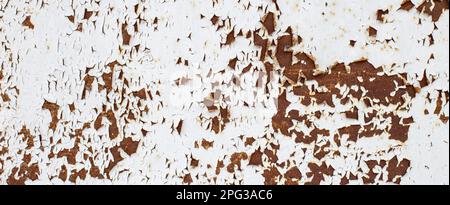 Abstrakter Hintergrund aus rostigem Metall. Textur einer alten Grunge-Metallplatte mit gerissener Farbe. Rostig weiß und braun bemalte Wand. Banner Stockfoto