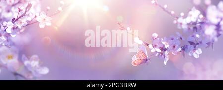 Panoramablick auf Kirschbäume und Fliegenschmetterling im sonnigen Frühlingsgarten mit Kopierbereich: Osterfrühlingskonzept mit CO Stockfoto