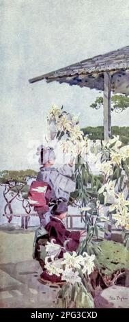 Lilinm Auratum gemalt von Ella Du Cane aus dem Buch " die Blumen und Gärten Japans " beschrieben von Florence Du Cane Veröffentlicht in London von A. und C. Schwarz im Jahr 1908 Lilium auratum (山百合, yamayuri, wörtlich „Montanlilie“) ist eine der wahren Lilien. Sie ist in Japan heimisch und wird manchmal als goldgeröstete Lilie oder goldband-Lilie bezeichnet. Stockfoto