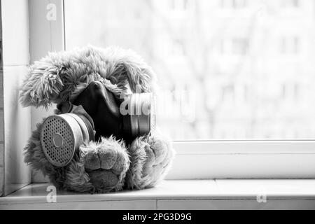 Ein weiches Baby-Häschen mit Gasmaske sitzt im Haus am Fenster, Gasangriff Stockfoto