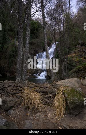 Las Nogaledas Wasserfall in Valle del Jerte vertikal mit Vegetation im Vordergrund Stockfoto