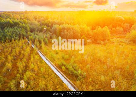Atemberaubende Landschaft Aus Der Vogelperspektive Mit Hellem Sonnenlicht Und Blick Auf Die Sumpflandschaft Des Naturschutzgebiets. Schmaler Holzwanderweg, Der Sich Durch Marsh Schlängelt. Kognitive Promenade Stockfoto