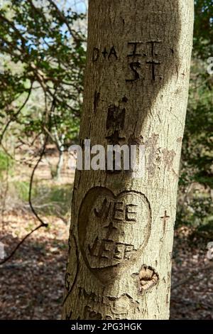 Pemberton Historical Park, Salisbury, Maryland, USA. Stockfoto