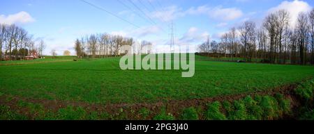 Eine malerische Aussicht auf riesige grüne, sanfte Felder vor dem blauen Himmel Stockfoto