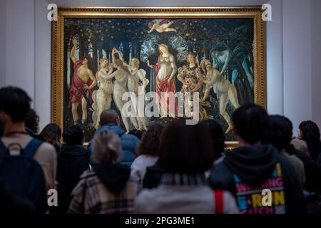 Die Primavera, also der Frühling, gemalt von Sandro Botticelli in den Uffizien in Florenz, Italien. Stockfoto