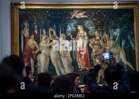 Die Primavera, also der Frühling, gemalt von Sandro Botticelli in den Uffizien in Florenz, Italien. Stockfoto