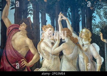 Die Primavera, also der Frühling, gemalt von Sandro Botticelli in den Uffizien in Florenz, Italien. Stockfoto
