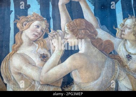 Die Primavera, also der Frühling, gemalt von Sandro Botticelli in den Uffizien in Florenz, Italien. Stockfoto