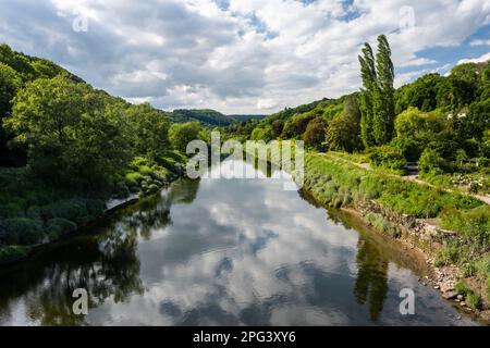 Der Tidal River Wye fließt durch die Wälder bei Brockweir an der Grenze von England und Wales. Stockfoto