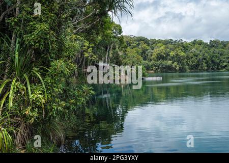 Lake Eacham, Crater Lakes National Park, Atherton Tablelands, Queensland, Australien Stockfoto