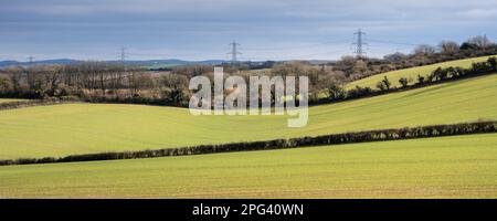 Die Stromleitungen von National Grid durchqueren Felder in der sanften Landschaftslandschaft der South Dorset Downs bei Broadmayne. Stockfoto