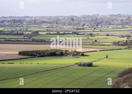 Felder mit Feldfrüchten und Weiden bedecken die sanfte Landschaft um Shaftesbury an der Grenze Dorset-Wiltshire aus Sicht des Win Green Hill. Stockfoto