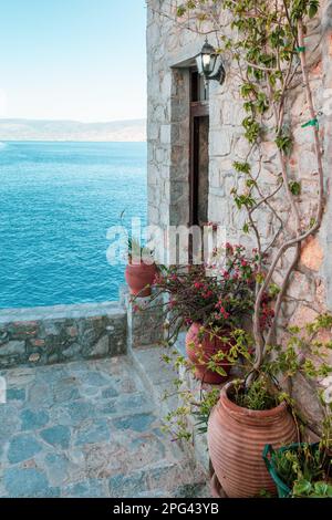 Topfpflanzen vor der Tür auf der Terrasse in Griechenland. Stockfoto